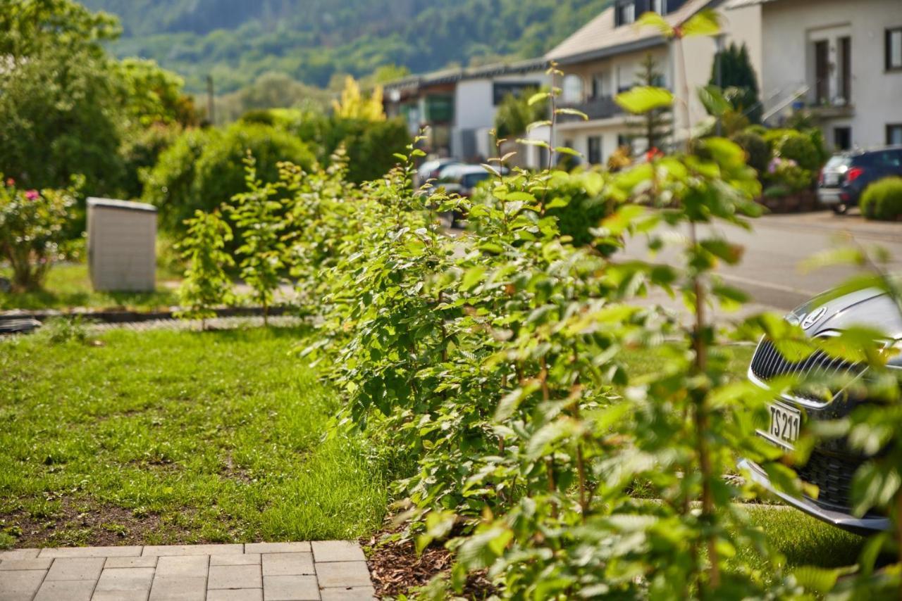 Mittelmosel Panorama Ferienwohnung Kinheim Exteriér fotografie
